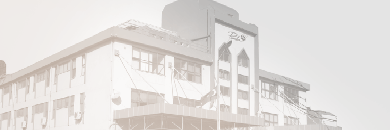 airbag compatible seat cover